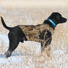 Dokken, Dead Fowl Trainer, Supervest XTreme
