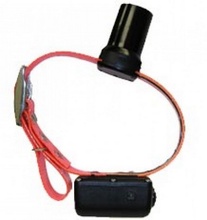 DT Systems, Baritone Beeper Collar