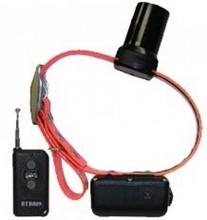 DT Systems, Baritone Beeper Deluxe Collar with Transmitter
