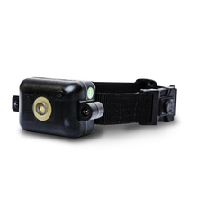 DT Systems, Ultra-Min-e 2090 No Bark Trainer