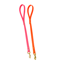Dura-Flex Dog Leash
