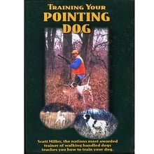 DVD, Training Your Pointing Dog featuring Scott Miller