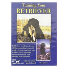 DVD, Training Your Retriever