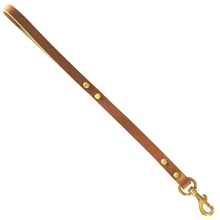 FieldKing, BTL Bridle Leather Dog Lead, Traffic Lead, 3/4" Wide X 20" Long