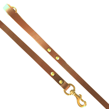 FieldKing, BTL Bridle Leather Dog Lead, Walking Lead, 3/4" Wide X 48" Long