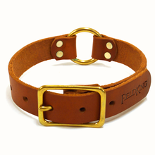 FieldKing, BTL Bridle Leather Dog Collar, Center Ring, 1" Wide
