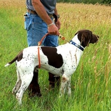 FieldKing Whoa Hitch