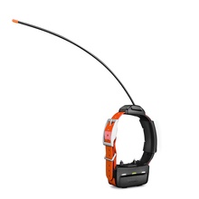Garmin, TT 15 Dog Device