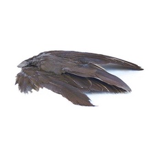 Wild Grouse Wings