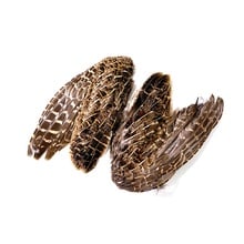 Wild Hungarian Partridge Wings, 2 Pack