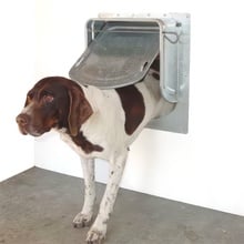 K-9 Kondo, Kennel Door