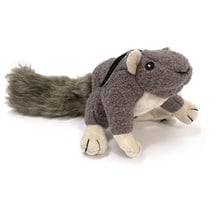 Squirrel, Lil Feller