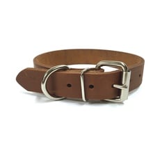 NBS Leather Dog Collar, Standard, 1" Wide