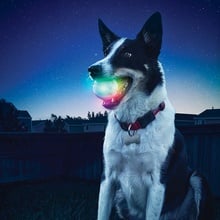 Nite Ize, GlowStreak LED Ball, Disc-O