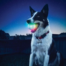Nite Ize, GlowStreak LED Ball, Disc-O