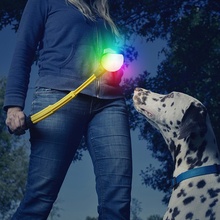 Nite Ize, Huck 'N Tuck GlowStreak Collapsible Thrower and LED Ball