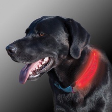 Nite Ize, NiteDawg LED Collar Cover