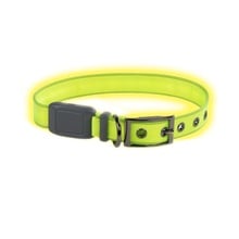 Nite Ize, NiteDog Rechargeable LED Collar, Lime/Green LED