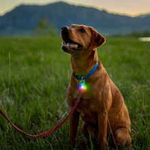 Nite Ize, SpotLit Collar Light, Disc-O Select