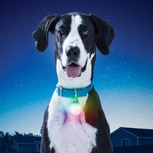 Nite Ize, SpotLit XL Rechargeable Collar Light, Disc-O Select