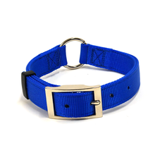 Nylon Dog Collar, Center Ring, 1" Wide, Blue