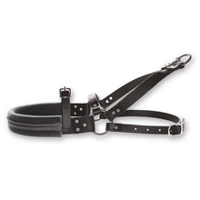 Padded Roading Harness