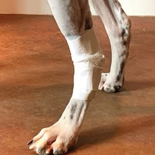 PawFlex, Universal Joint Bandage