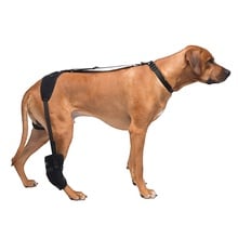 Caldera, Tarsal Pet Therapy Wrap with Therapy Gel, Large