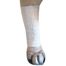 PawFlex, Protective Sleeve Cover