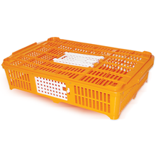 Quail Coop, COOP 6 Q
