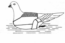 Quail Sock