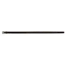 SportDog, Collar Strap, 3/4" Wide, Black