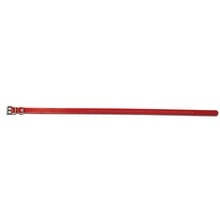 SportDog, Collar Strap, 3/4" Wide, Red