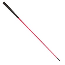 SportDog, Heel Stick