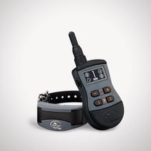 SportDog, SportTrainer 575, Black