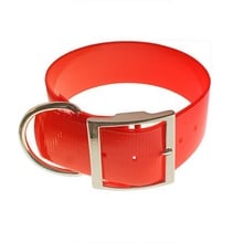 SunGlo Dog Collar, Standard, 2" Wide