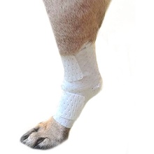 PawFlex, Universal Joint Bandage