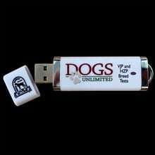 VDD-GNA, JGHV VJP and HZP Test Video, USB Drive