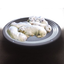 Whelping Nest