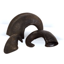 Wild Eats, Water Buffalo Horn