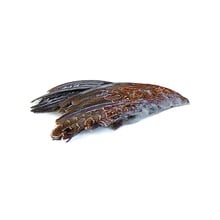 Wild Quail Wings