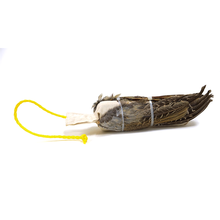 Wild Wing Dummy