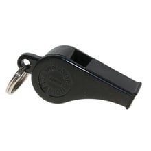 Windsor, Clarion Whistles
