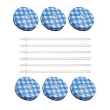 Sunshine Mason Co. Blue Gingham Mason Jar Lids with White Straws, 6 pieces