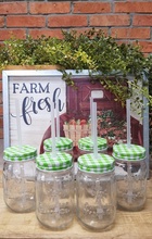 Sunshine Mason Co. Glass Mason Jar set with Green Gingham lids and Clear Straws, Set of 6