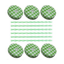 Sunshine Mason Co. Green Gingham Mason Jar Lids with Green stripe Straws, 6 Pieces