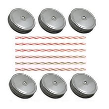 Sunshine Mason Co. Silver Mason Jar Lids with Red Stripe Straws, 6 Pieces