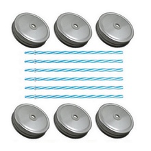 Sunshine Mason Co. Silver Mason Jar Lids with Blue Stripe Straws, 6 Pieces