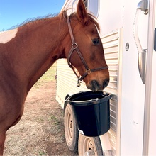 Stable Gear, 14 Quart Plastic Bucket with Insert Block