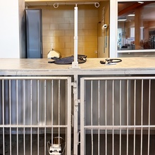 Kennel Gear, Standard Horizontal IV Pole Double Hook with Surface Mount